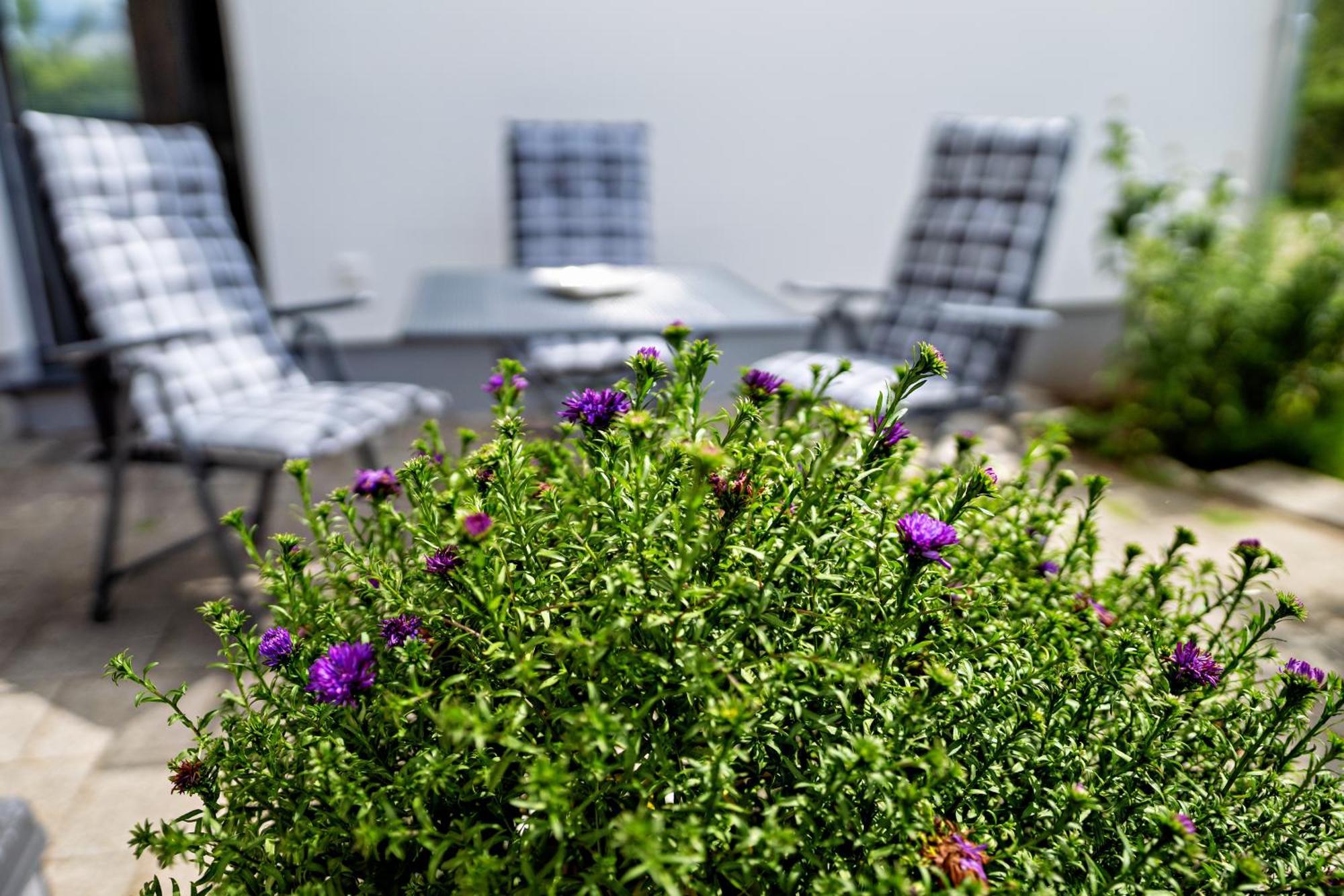 Appartement 2 - Duenenblick Börgerende-Rethwisch Esterno foto